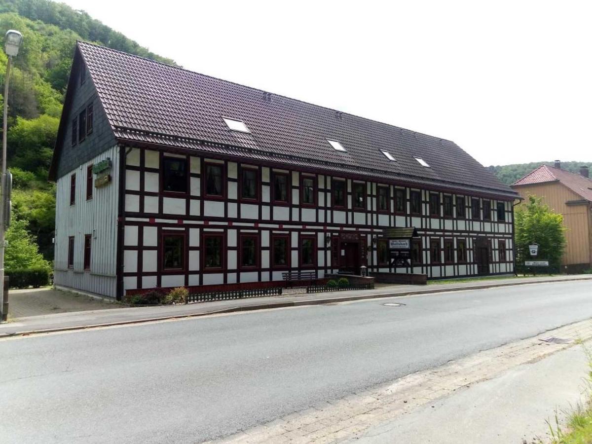 Appartement Haus Am Wolfsbach à Zorge Extérieur photo