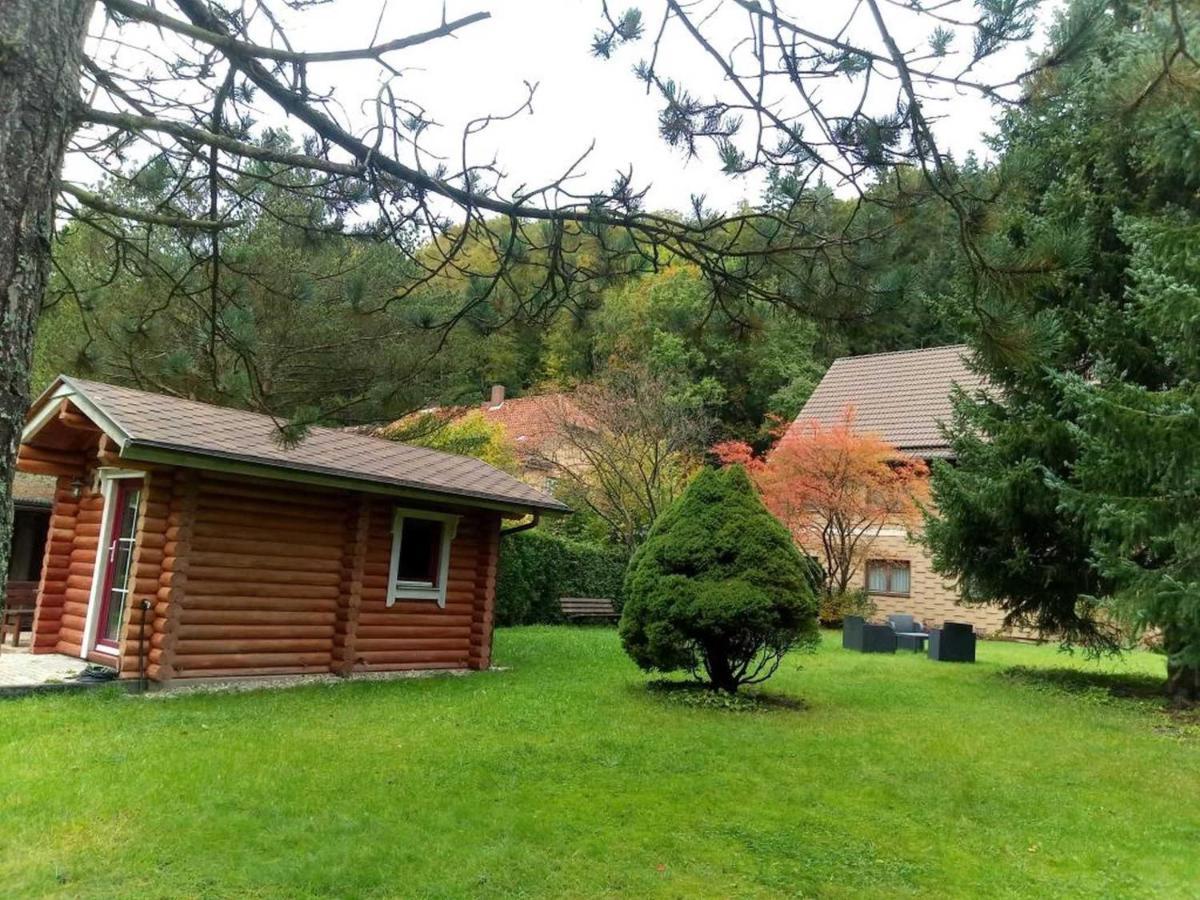 Appartement Haus Am Wolfsbach à Zorge Extérieur photo